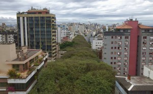 Необыкновенная зеленая улица в Бразилии