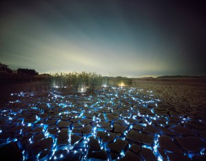 Инсталляция: "Звездная ночь в траве"