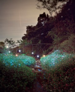 Инсталляция: "Звездная ночь в траве"