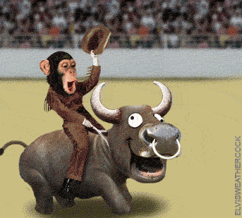 смешная анимация с обезьяной и быком