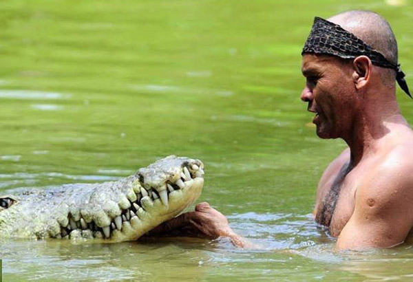 Крокодил и человек