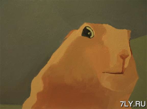 12 мемов о животных за 2012 год