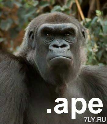 .ape