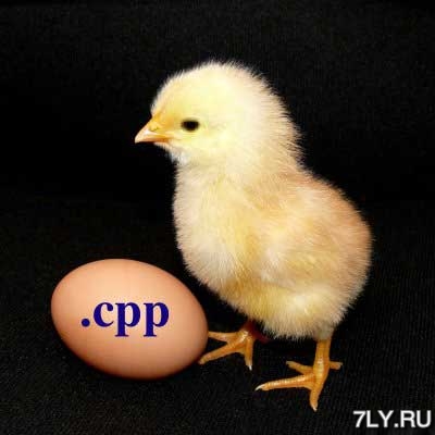 .cpp