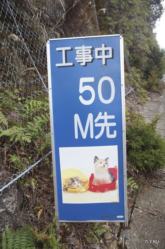 52 очень странных дорожных знака в Японии.