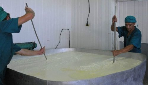производство копченого сыра сулугуни