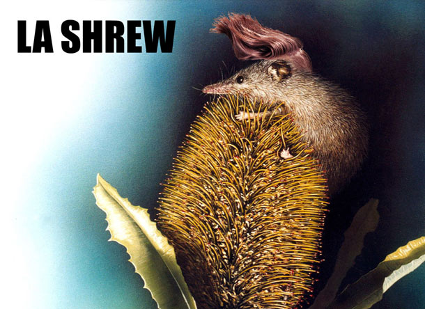la-shrew-2