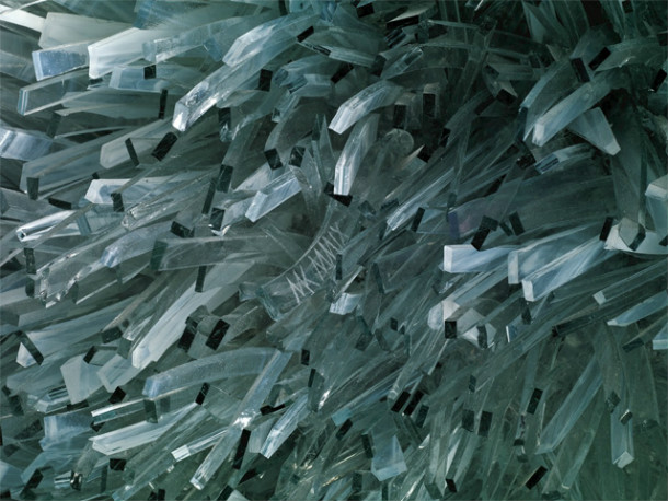 Shattered-Glass-Animals-By-Marta-Klonowska-4