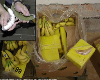 Бананы с кокаином нашли в Бельгии