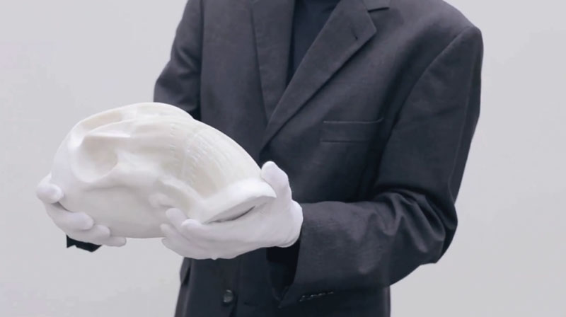 li-hongbo-paper-sculptures-malleable-flexible-11
