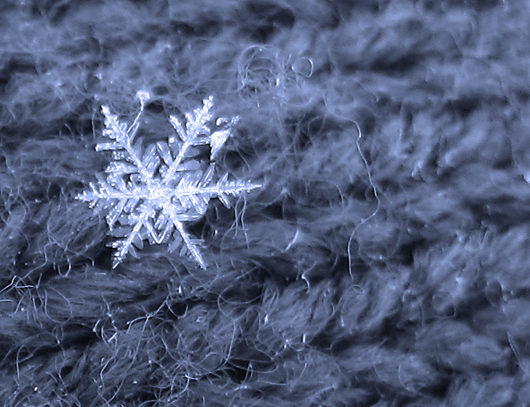 snowflake_imagelink