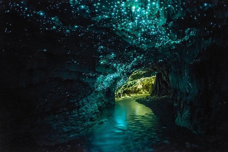Пещеры Светлячков в Новой Зеландии 