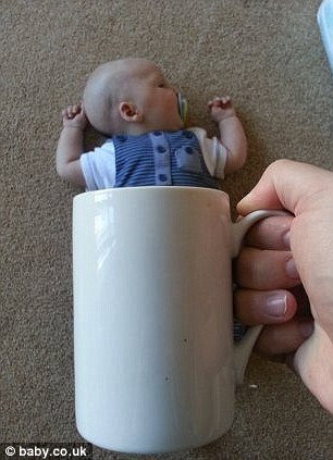 Младенцы в чашках – очередной фото-мем интернета