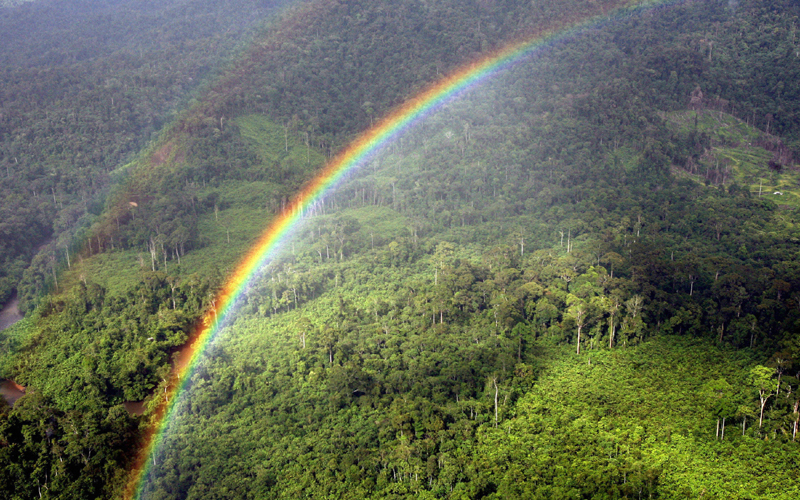 A Rainbow forms over the Ulu Baram rainf