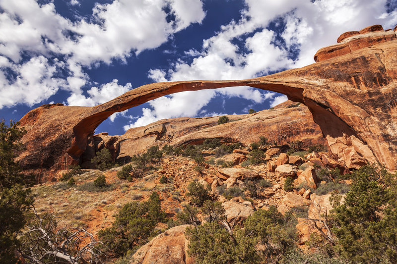 Devils Garden Arches National Park Moab Utah