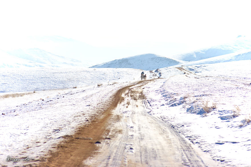Winter-in-Mongolia (13)