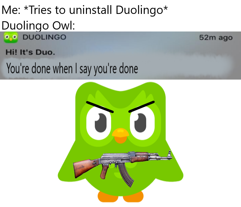 Cursed duolingo images