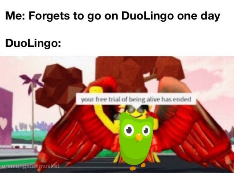 Зловещая сова из Duolingo из-за угроз стала мемом.