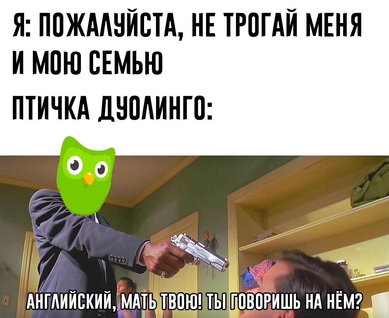 Сова Duolingo