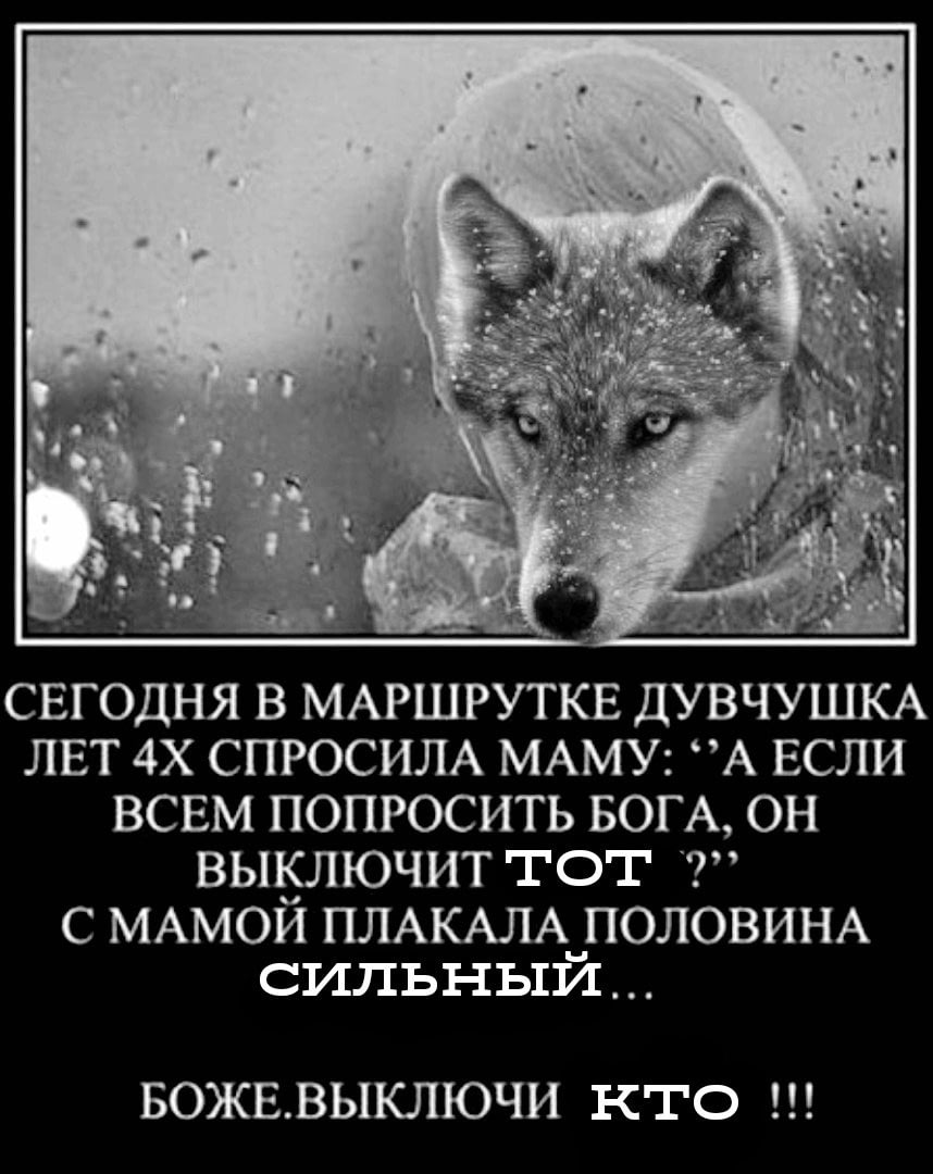 Пацанский волк. Цитата. Цитаты Волков. Волчьи цитаты. Волк афоризмы.