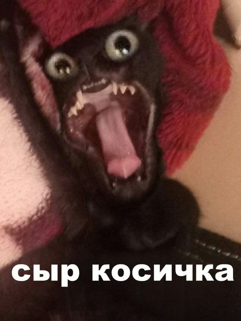 Хочу сыр косичку мем